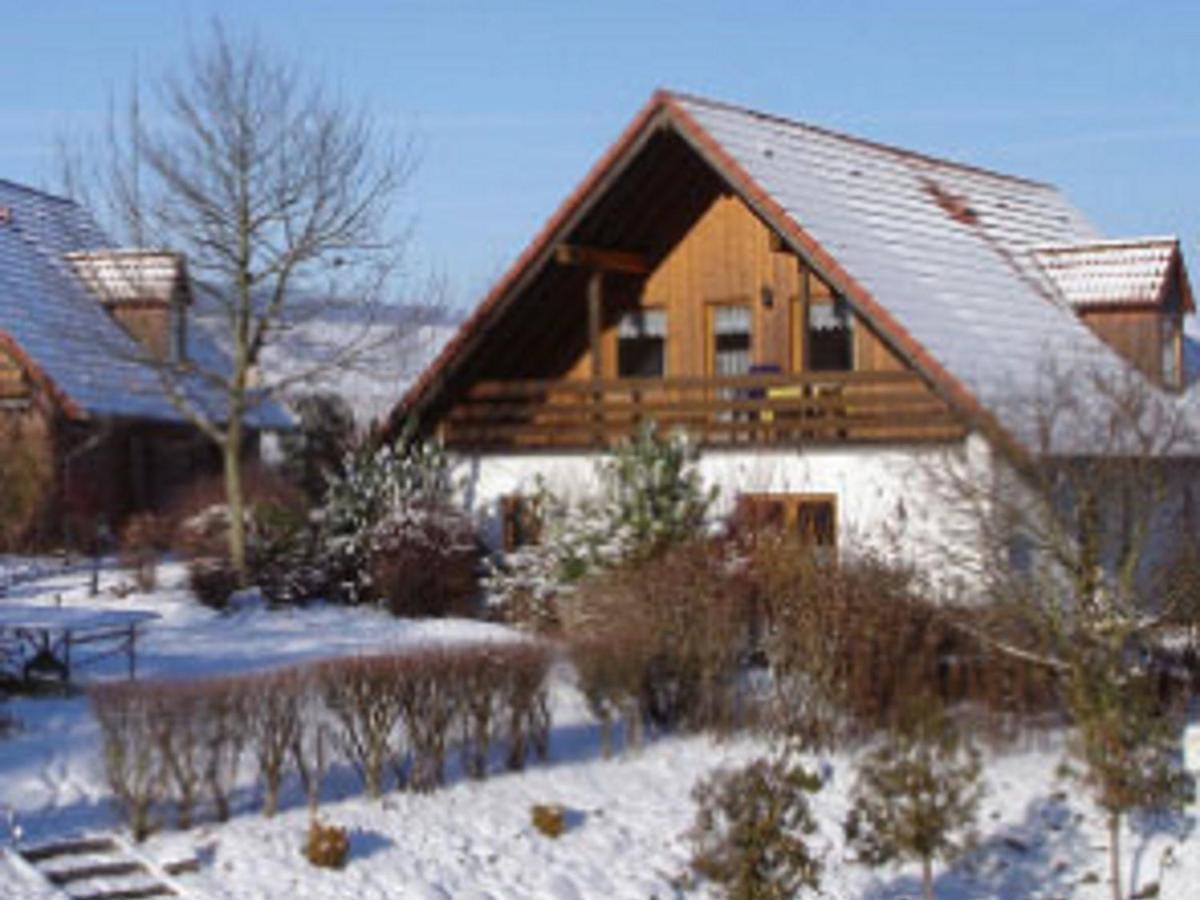 Spacious Apartment In The Green Bruchttal Bredenborn Екстер'єр фото
